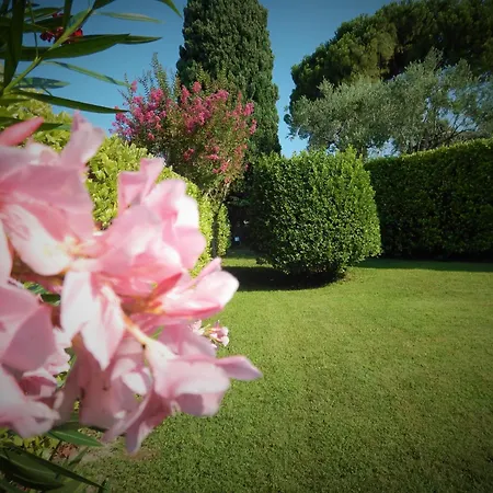 White House * Lazise